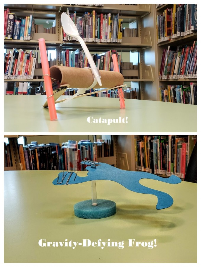 Picture of Gravity Defying Frog and Catapult