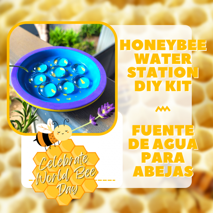 Celebrate World Bee Day. Honeybee Water Station DIY Kit with a photograph of a sample water station.