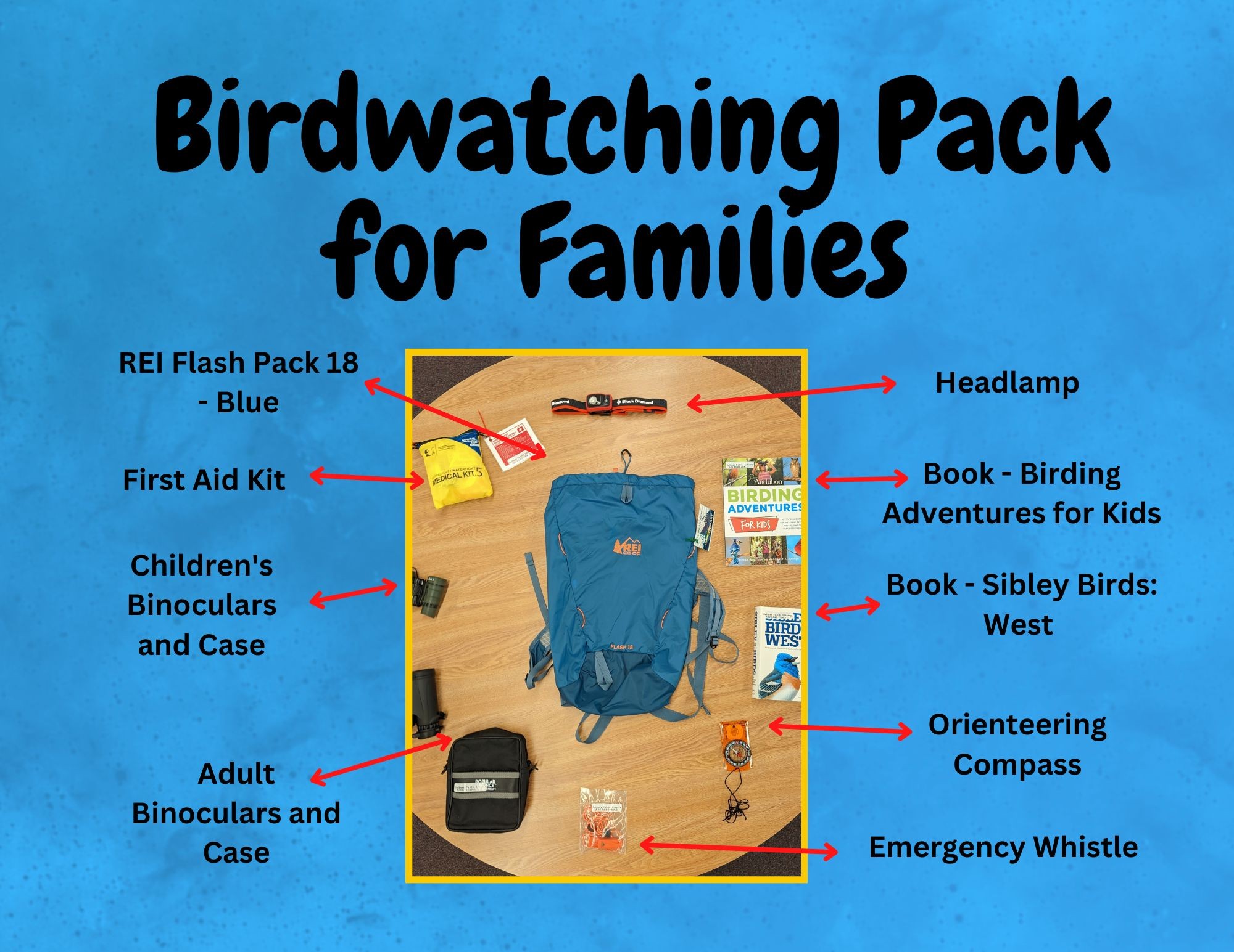 Birdwatching for Families