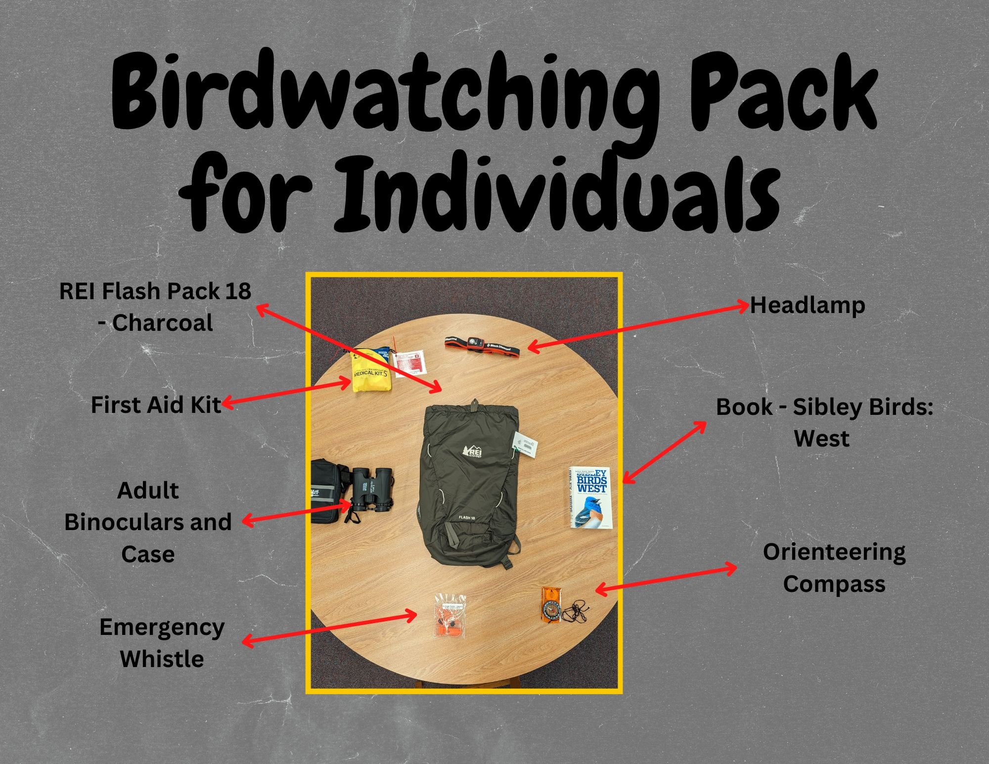 Contents of Birdwatching for Individuals