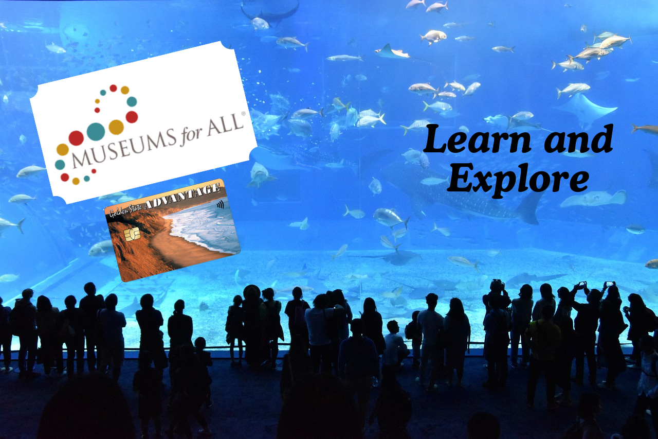Crowd in front of an aquarium tank with a branded ticket graphic for the Museums for All program